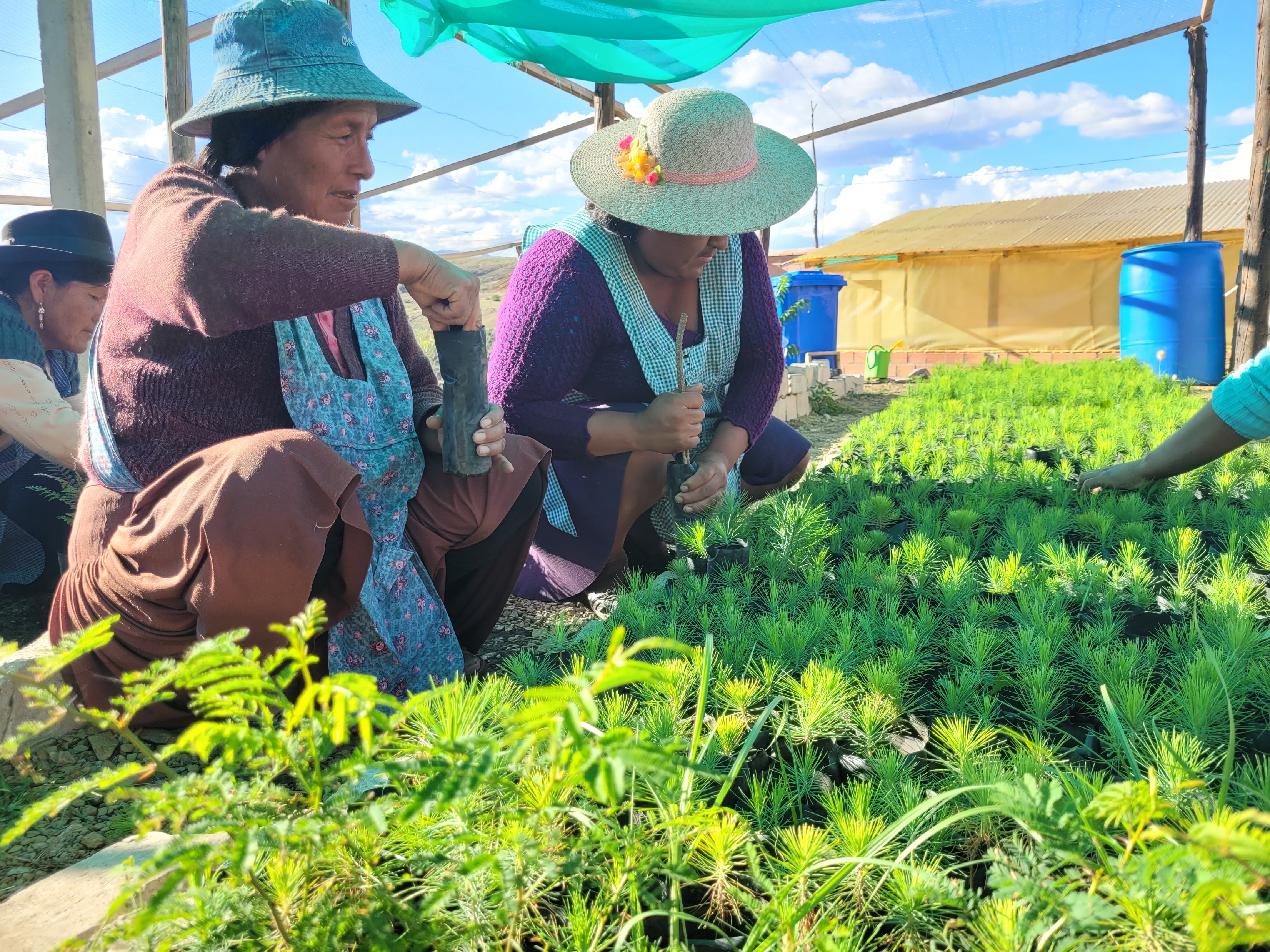 Desarrollo Rural y Productivo